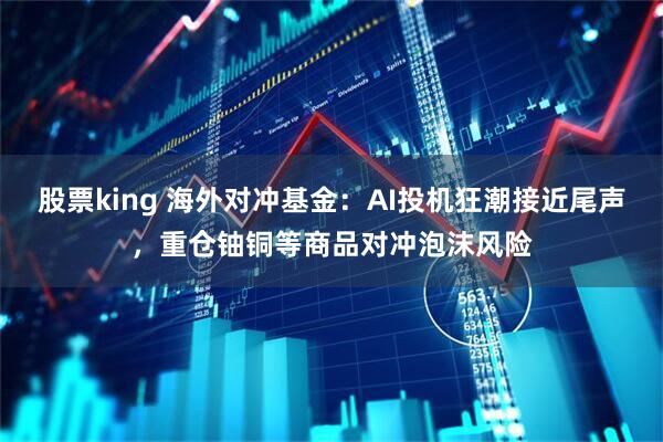 股票king 海外对冲基金：AI投机狂潮接近尾声，重仓铀铜等商品对冲泡沫风险